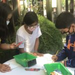 Artists Working