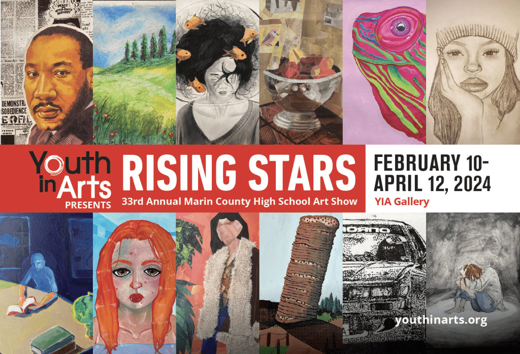 RISING STARS 33rd Annual High School Art Show