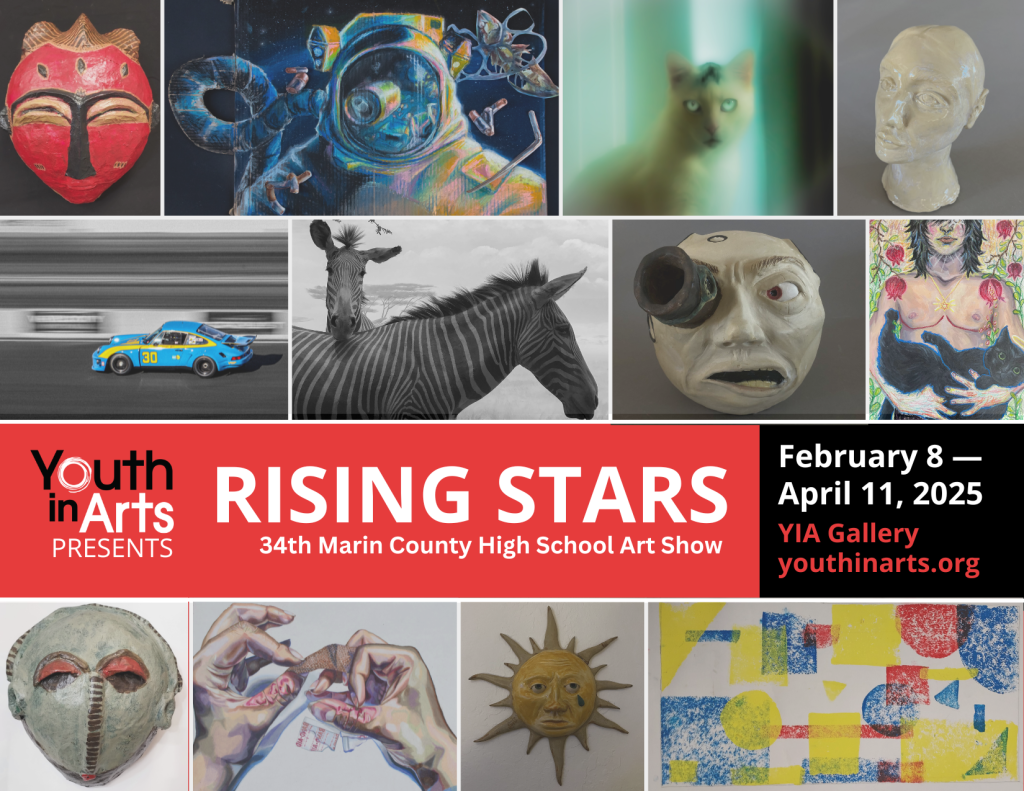 Rising Stars 34th Annual High School Art Show