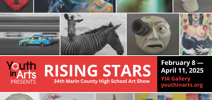 Rising Stars 34th Annual High School Art Show