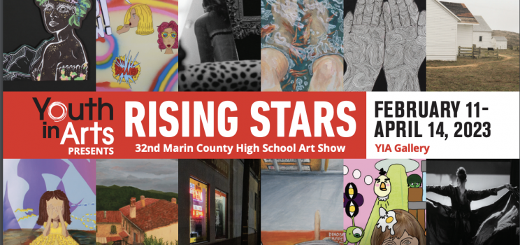 RISING STARS Opens February 11th